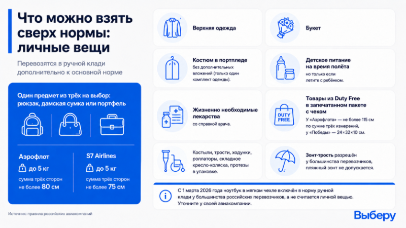 Что можно перевозить сверх нормы в ручной клади