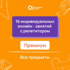 16 индивидуальных онлайн - занятий с репетитором  премиум по математике