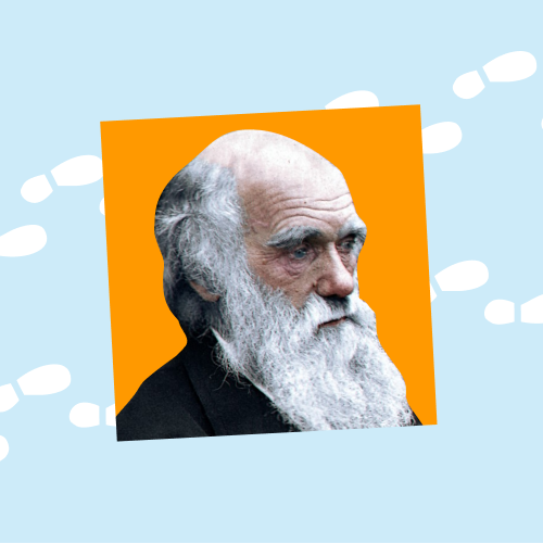 Биология. Эволюционная биология.