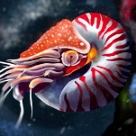 Level One Plus (1 месяц)