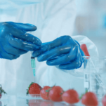 Что мы едим: польза и вред глазами химика