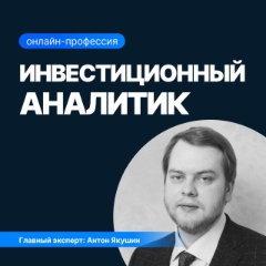 Инвестиционный аналитик