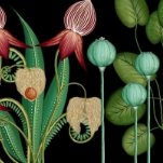 История биологии: от Древней Греции до современности