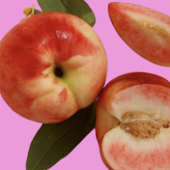 Введение в health-коучинг