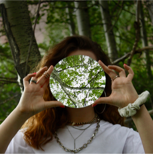 Мини-курс по вирусологии