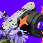 Курс «Авторская фотография»