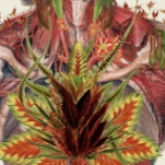 Химия тела: как молекулы управляют нами