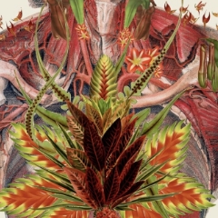 Химия тела: как молекулы управляют нами