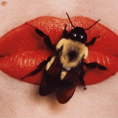 100 лет фотографии