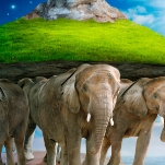 Мифы: зачем они нам