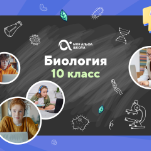 Онлайн-занятия с репетитором по биологии. 10 класс