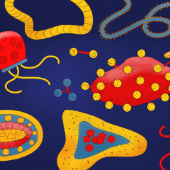 Вирусы и бактерии: главное о лечении