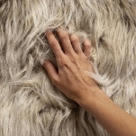 Ветеринария + Меховое звероводство и технологии переработки продукции