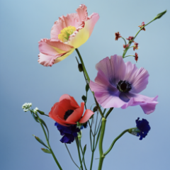 Флористика с нуля