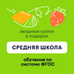 Литература | ОГЭ 2027