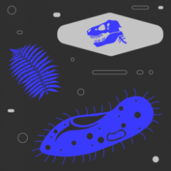 Эволюция жизни на Земле. Бесплатный курс