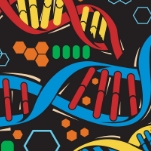 ДНК: что нужно знать