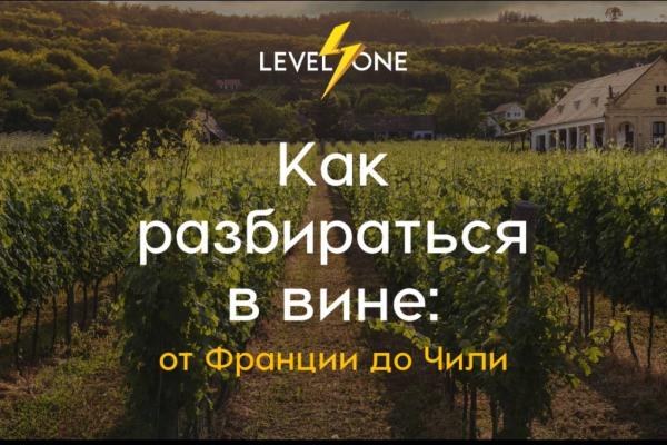 Как разбираться в вине: от Франции до Чили