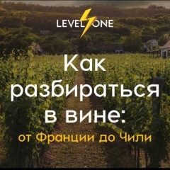 Как разбираться в вине: от Франции до Чили