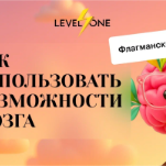 Как использовать возможности мозга