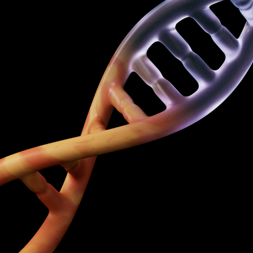 Основы генетики