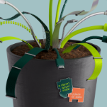 Профессия 1С-программист