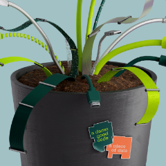 Профессия 1С-программист