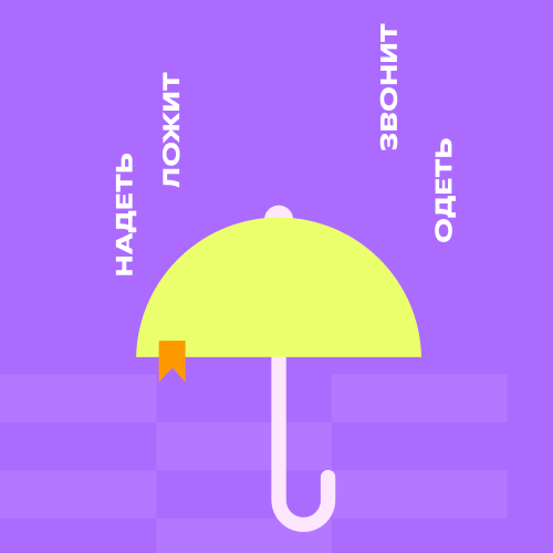 Словесность. Курс «Текст в радость»