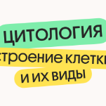 Цитология. Строение клетки и их виды