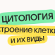 Цитология. Строение клетки и их виды