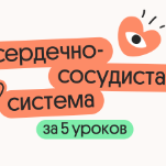 Сердечно-сосудистая система за 5 уроков