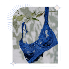 Профессия  Дизайнер нижнего белья и купальников