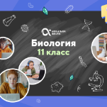 Онлайн-занятия с репетитором по биологии. 11 класс