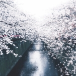 Япония: главное