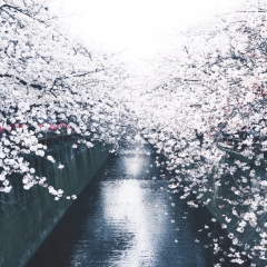 Япония: главное