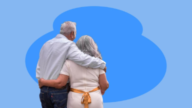 kypit-staj-i-balli-skolko-stoit