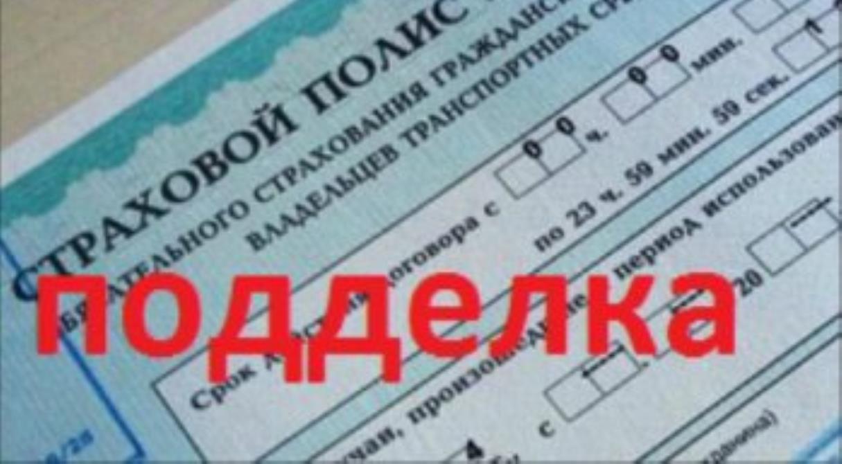 Поддельные страховые полисы ОСАГО дают сомнительную экономию