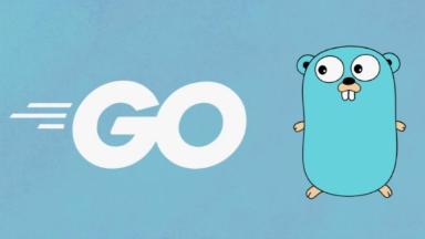 professiya-go-razrabotchik