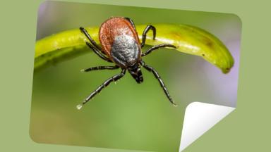 ykys-klesa-cto-delat