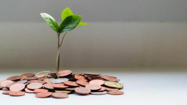 Инвестиционные вклады в 2022 году