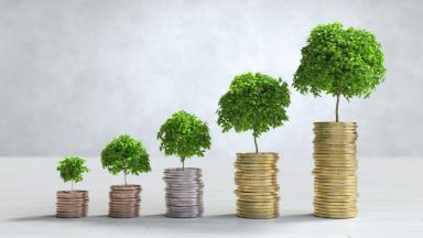 chto-takoe-programma-dolgosrochnyh-sberezhenij