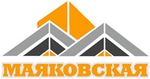 Developer logo