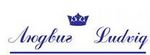Developer logo
