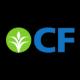 CF Industries Holdings
