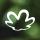 Natura &Co Holding S.A.