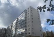 Slide 8
