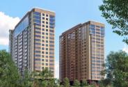Slide 8