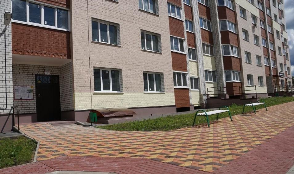 Тюльпан