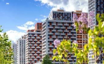 Slide 10