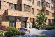 Slide 5
